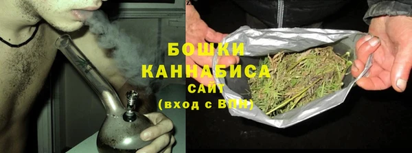 индика Яровое