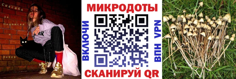 Купить закладки  Нижняя Салда  Галлюциногенные грибы MAGIC MUSHROOMS 